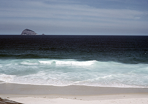 LEICA M6, SUMMICRON 2/50